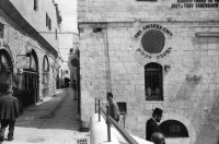 Image of sheet 19920350 photo 3: West Jerusalem, Junge und russischer Einwanderer und Opernsänger. Mea Shearim, Ben Yehudin Strasse. Vermesser in Jerusalem Ost. Schafherde. Projekt Ausbildung in Physiotherapie. Schafe werden gewaschen. El Ojer. Westbank. Portrait junge Palästinenser Tahreer Romaniah 23 ig Arztgehilfin. Portrait: Serin, (14) Von Siedler angefahren.
Israel Occupied territory Palestine Palästina 1992
