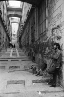 Image of sheet 19920350 photo 6: Israel Occupied territory Palestine Palästina 1992