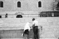 Image of sheet 19920380 photo 28: Diese palästinensischen Studentinnen freuen sich auf die Wiedereröffnung der Universität Birzeit. 28.04.92 Palästina. 1992 √ students girls women woman 
Birzeit University (BZU) (Arabic: جامعة بيرزيت‎) is a public university located in Birzeit near Ramallah, Palestinian territories. BZU is among the foremost tertiary educational institutes in the Palestinian territories and has played a significant role in the Palestinian political dialogue.It is the first institution of higher education to be established in the Palestinian territories and is considered as one of the most prestigious universities in the West Bank.Furthermore, BZU has the highest admission averages among other Palestinian universities