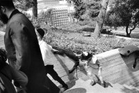 Image of sheet 19920420 photo 4: jewish family visiting the Israel Museum in West Jerusalem on a sabbath. girls boy father orthodox religious art artist girl father child 



Aus: Out of Jerusalem / Jenseits von Jerusalem page 23