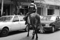 Image of sheet 19920430 photo 15: Israelische Polizeieinheiten kontrollieren die Salah al Hedin Street im Ost-Jerusalemer Stadtteil. 05.92

A Israeli Army Horse Patrol is controlling the traffic. Israel Palestine 1992 √
© 1992, Olivia Heussler