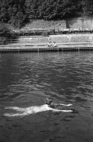 Image of sheet 19920520 photo 16: D