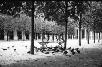 Image of sheet 19920560 photo 7: frtsg. 920550 Friedhof Lengnau        
© 1992, OLIVIA HEUSSLER
jüdischer Friedhof Lengnau
am Grab von Alis Guggenheim (1896 - 1985)
mit Tochter Ruth Guggenheim Heussler
re aussen: Heide und Beat Wismer
li aussen: Lars Müller und Tochter von Heide und Beat Wismer

Seine in Paris mit Bateau Mouche. Zöpchen Macher vor Centre Pompidou. Rambutau. Kunst von ........am Palais Royal. Portrait Esther Woerdehoff. An der Seine. Schwarzer und weisser Pudel. Hund auf Trottoir. Clochard auf Bank. Institut du Monde Arabe. Durch Eingangstüre mit arabischer Schrift auf Scheibe. Selbstportrait im Atelier von der Cité International des Arts. Paris Frankreich France 1992

The Arab World Institute (abbreviated "AWI"; French: Institut du Monde Arabe, abbreviated "IMA") is an organization founded in Paris in 1980 by 18 Arab countries with France to research and disseminate information about the Arab world and its cultural and spiritual values. The Institute also promotes cooperation and exchanges between France and the Arab nations, particularly in the areas of science and technology, contributing to understanding between the Arab world and Europe. Libya joined the institute in 1984.