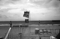 Image of sheet 19920570 photo 6: Allez Pascal Im Dorf vom Französischen Radrennfahrer...... . Für die Kinder gibt es am Strand Micky Mouse Spielplätze. Der wilde Strand ist gefährlich. Die Brandung verschlingt die Menschen einfach. Tote Möve.  dead death sea gull  seemöve Mövengruppe in der Luft. Abfall. liegt in der Nähre des Meeres. Kühlschränke liegen offen da. Fischleiche. Ruth Guggenheim Heussler liest sitzt auf mon Ami Fritz Stuhl. Prähistorischer Grosser  wichtigster Menhir war 20, 30 meter lang und wog 350 tonne und Markt Tisch Table de Marchand Dolmen, die Zeichnungen sind unscharf, in Locmariaquer. Die Megalithen von Die Alignements in Carnac, Kermario. Es sind noch 3000,  aus der Zeit von 5000 bis 2000 vor Christus.Von den Goulois gebaut und den Römern auch noch als religiöse Zeichen benutzt. Steine in Baumwurzel, bei Cernac France Frankreich Bretagne Quiberon 1992
