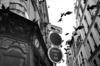 Image of sheet 19920630 photo 14: pigeons Old town  traffic street houses town ville europe
