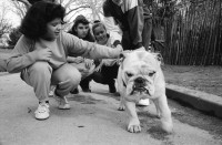 Image of sheet 19920720 photo 12: frtsg. 920710 Parc Buttes Chaumont. Kinder spielen mit Grusel Hund Schulklasse Gruppenbild. Gebäude im Umbau. Kran.' SIDA nous mourrons vous ne faites rien.'  Graffiti Spray steht im Marais an Hauswand. Aids. Riesenrad. Portrait Tiziana De Silvestro Portraits Jonas Mekas. v.l.n.r. Marcel Hausun. Jean Jaques Lebel, Traductuer de Ginsberg et autres. Jonas Mekas, Amerikanicher Untergrundfilmer Cinéaste originally from Lituania. Litauischer Underground Filmmaker  in Amerika.  Dominique Noguez, Uebersetzer vom Buch von Jonas  Alain Robbe Grillet, Schriftsteller Erfinder vom Neuen Roman und Filmer Marcel Martin, Französischer Autor von Untergrund Filmen in Frankreich. An einer Presse konferenz im Schriftsteller verein in Paris France 1992