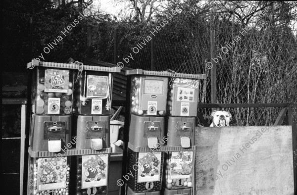 Image of sheet 19920720 photo 6: frtsg. 920710 Parc Buttes Chaumont. Kinder spielen mit Grusel Hund Schulklasse Gruppenbild. Gebäude im Umbau. Kran.' SIDA nous mourrons vous ne faites rien.'  Graffiti Spray steht im Marais an Hauswand. Aids. Riesenrad. Portrait Tiziana De Silvestro Portraits Jonas Mekas. v.l.n.r. Marcel Hausun. Jean Jaques Lebel, Traductuer de Ginsberg et autres. Jonas Mekas, Amerikanicher Untergrundfilmer Cinéaste originally from Lituania. Litauischer Underground Filmmaker  in Amerika.  Dominique Noguez, Uebersetzer vom Buch von Jonas  Alain Robbe Grillet, Schriftsteller Erfinder vom Neuen Roman und Filmer Marcel Martin, Französischer Autor von Untergrund Filmen in Frankreich. An einer Presse konferenz im Schriftsteller verein in Paris France 1992