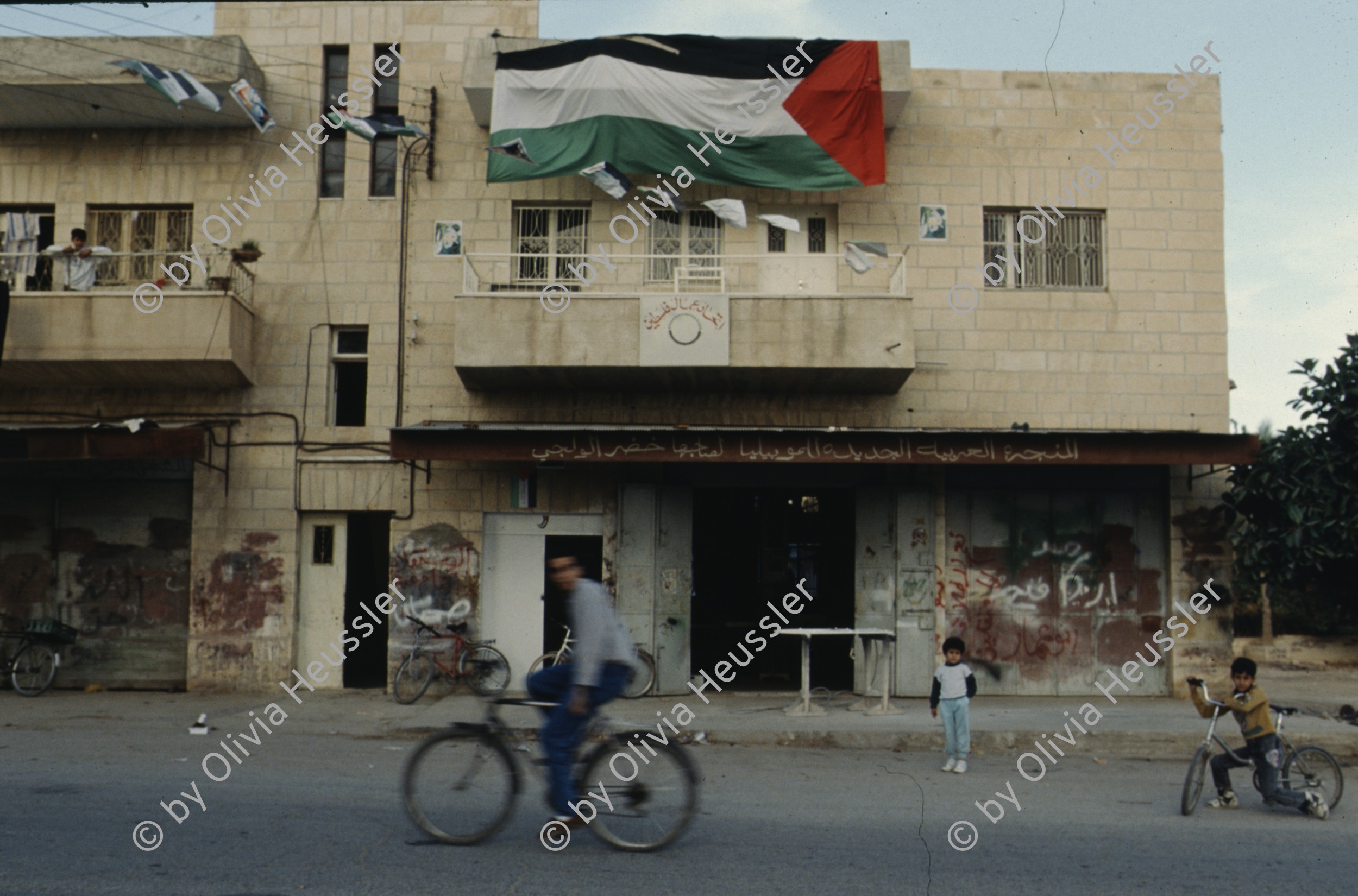 Image of sheet 19923005 photo 8: Palestine 1992.