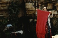 Image of sheet 19923006 photo 1: E