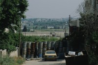 Image of sheet 19923007 photo 1: West Bank, Palestine 1992.