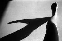 Image of sheet 19930010 photo 29: Oeff: Shadows and other Natures
Kulturmarkt, Zürich