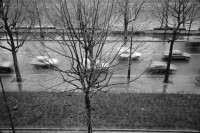 Image of sheet 19930010 photo 4: A