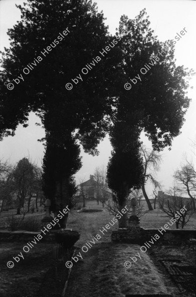 Image of sheet 19930100 photo 10: Bildungs und Ferienzentrum Salecina im Schnee. Grünabfall. Holz tragen für Holzzentralheizung. Peter und Tobias. im Bergell. Soglio alte Frau. Häuser. Park. Schneeschuhlaufen. Schlittenhundrenne  Europameisterschaft. Franzose gewinnt. Huskies. Schlittenhunde. Wanderung Soglio Brüder Rohde, Peter und Tobias Maloja Bergell Bregalia  Kanton Graubünden Schweiz Switzerland 1993