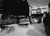 Image of sheet 19930100 photo 15: Schlittenhundrenne  Europameisterschaft. Franzose gewinnt. Huskies. Schlittenhunde.