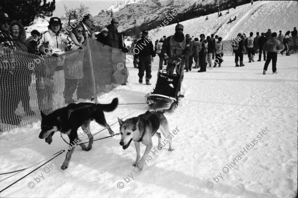 Image of sheet 19930100 photo 22: Bildungs und Ferienzentrum Salecina im Schnee. Grünabfall. Holz tragen für Holzzentralheizung. Peter und Tobias. im Bergell. Soglio alte Frau. Häuser. Park. Schneeschuhlaufen. Schlittenhundrenne  Europameisterschaft. Franzose gewinnt. Huskies. Schlittenhunde. Wanderung Soglio Brüder Rohde, Peter und Tobias Maloja Bergell Bregalia  Kanton Graubünden Schweiz Switzerland 1993