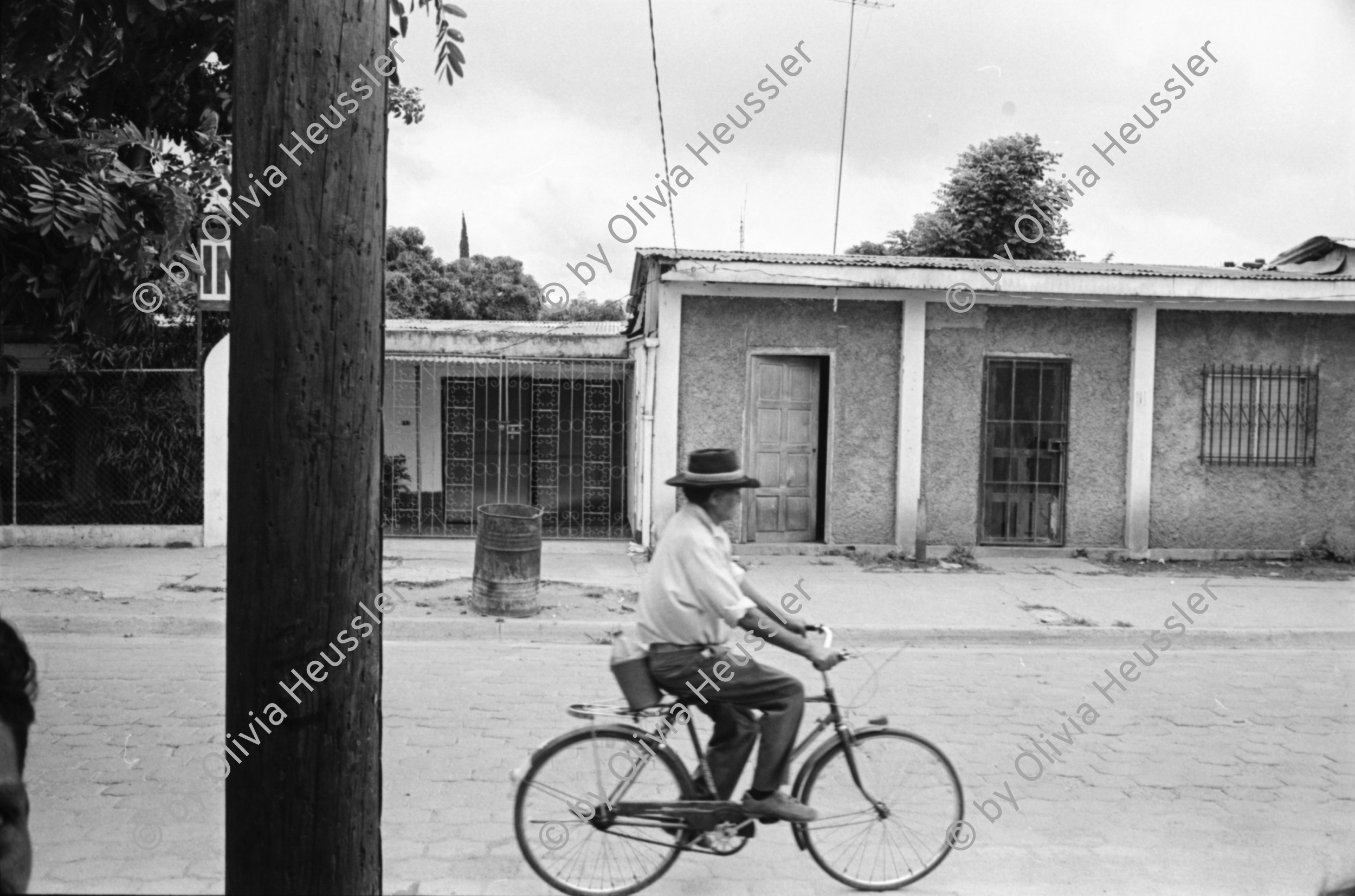 Image of sheet 19930400 photo 33: frtsg. 930390 Portrait Cmdte. de la Revolucion sandinista Daniel Ortega. FSLN Transparent auf der Kathedrale 'Muerte al Somocismo'. Mejia Godoy Frauen und Männer von hinten marschieren. IFA Lastwagen auf Lada. Kathedrale von Obando y Bravo. FROC in Esteli.
Feierlichkeiten zum 14. Jahrestag der Revolution Nicaragua 1993

Menschenmassen Protest Demonstration Jubeln Feier am 19.7.93 auf der Plaza de la Revolucion, vor der Cathedrale Kathedrale: Managua ( 14. Jahrestag der sandinistischen Revolution ) FSLN Nicaragua 1993 √ 19. Juli 1993
'Muerte al Somocismo' Steht auf dem Banner. Sandinistische flaggen und Fahnen. Clown mit Perrücke

Die Frente Sandinista de Liberación Nacional (FSLN; deutsch Sandinistische Nationale Befreiungsfront) ist eine politisch links orientierte Partei in Nicaragua, hervorgegangen aus der gleichnamigen Guerillaorganisation, die am 19. Juli 1979 an der Spitze einer breiten Widerstandsbewegung die seit 43 Jahren bestehende Diktatur der Somoza-Dynastie unter Präsident Anastasio Somoza Debayle stürzte und daraufhin Nicaragua bis 1990 regierte. Mit Daniel Ortega stellt sie seit Januar 2007 wieder den Staatspräsidenten Nicaraguas.

Die Kathedrale Santiago de Managua ist die Ruine der alten Kathedrale von Managua. Sie befindet sich an der Plaza de la Revolution, vormals Plaza de la República. Sie wurde als kaschierter Stahlskelettbau im neoklassischen Stil errichtet. Die Fassadenaufteilung ist ähnlich der von St-Sulpice de Paris.