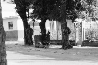 Image of sheet 19930460 photo 19: frtsg. 930430 Soldaten vom EPS sogenannte Regierungssoldaten beschiessen FROC Leute Kämpfer in der Stadtmitte mit RPG. Army Military Soldier Nicaragua Esteli 1993