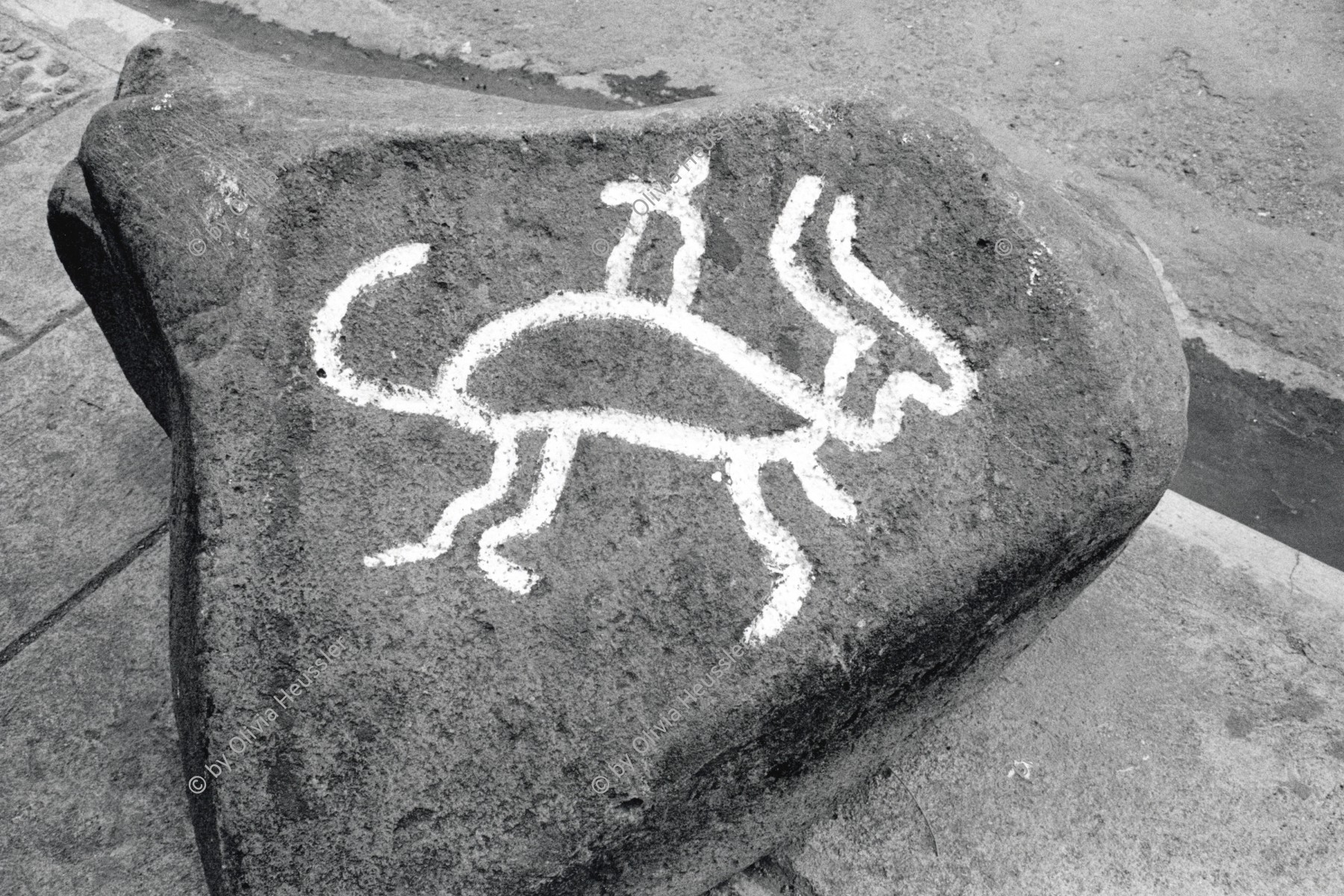 Image of sheet 19930470 photo 34: © 1993, Olivia Heussler / www.clic.li
Petroglyph Felszeichnung, mit präkolumbianischer Malerei, steht auf einem Gehsteig in Esteli, Nicaragua. 08.93

Petroglifo animal en estampida. de la cuenca del rio Esteli. 1993 √ aus registro arqueologico. Bayardo Gamez,  sinslani 2004