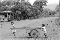 Image of sheet 19930480 photo 33: Ausflug nach Pueblo Nuevo. Pferd kriegt neue Hufeisen. Beschlagung. Verziehrungen. Kühe und Rinder Kinder schleppen Karren. Gruppenbild. Polin Sergio Valdivia Salinas Bouanerge Juanita Tinoco und Riccardo vor Kuh. Rind Pantasma Jinotega Nicaragua 1993