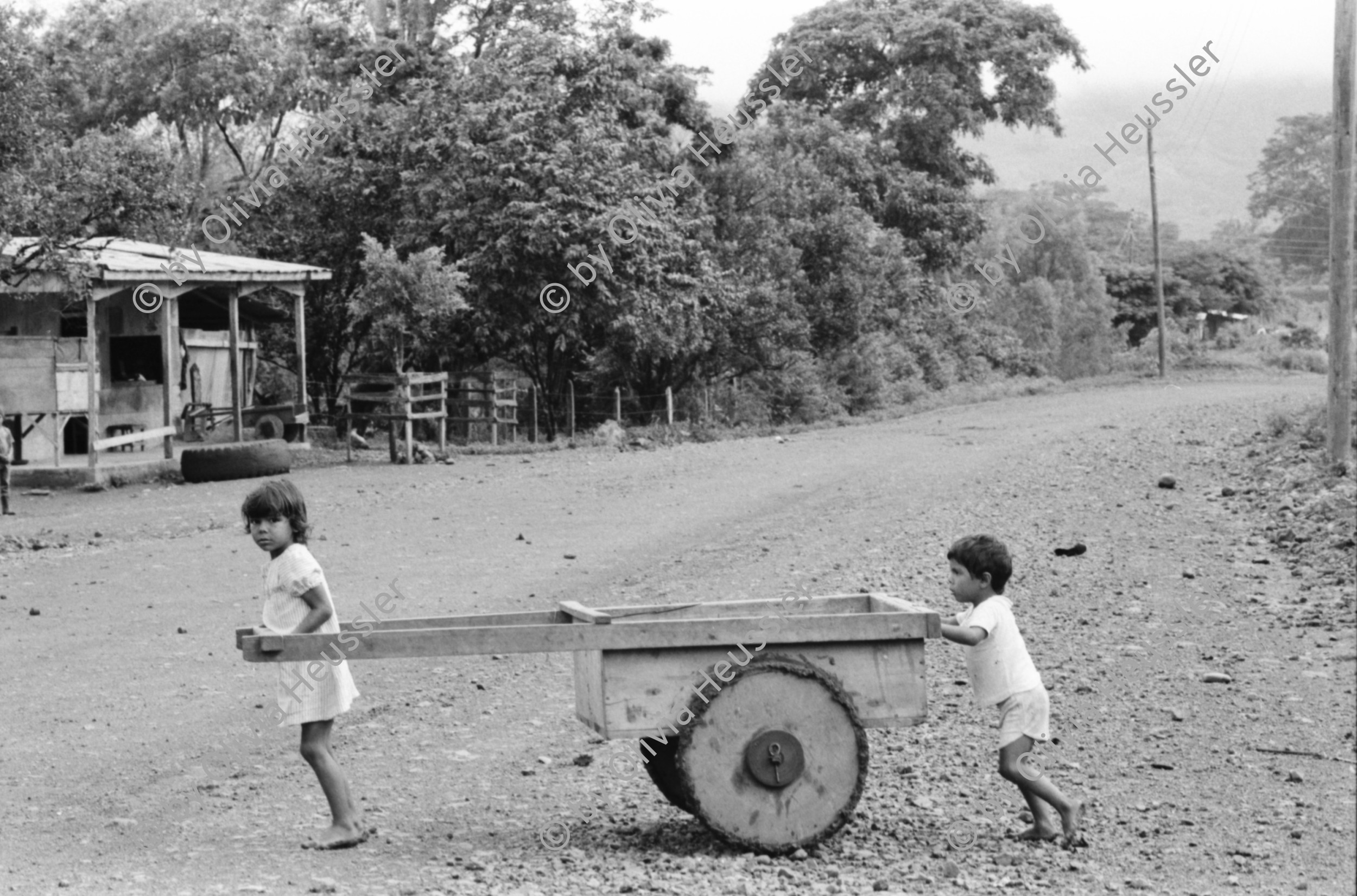 Image of sheet 19930480 photo 33: Ausflug nach Pueblo Nuevo. Pferd kriegt neue Hufeisen. Beschlagung. Verziehrungen. Kühe und Rinder Kinder schleppen Karren. Gruppenbild. Polin Sergio Valdivia Salinas Bouanerge Juanita Tinoco und Riccardo vor Kuh. Rind Pantasma Jinotega Nicaragua 1993