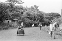 Image of sheet 19930480 photo 34: Ausflug nach Pueblo Nuevo. Pferd kriegt neue Hufeisen. Beschlagung. Verziehrungen. Kühe und Rinder Kinder schleppen Karren. Gruppenbild. Polin Sergio Valdivia Salinas Bouanerge Juanita Tinoco und Riccardo vor Kuh. Rind Pantasma Jinotega Nicaragua 1993