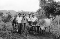 Image of sheet 19930480 photo 36: Ausflug nach Pueblo Nuevo. Pferd kriegt neue Hufeisen. Beschlagung. Verziehrungen. Kühe und Rinder Kinder schleppen Karren. Gruppenbild. Polin Sergio Valdivia Salinas Bouanerge Juanita Tinoco und Riccardo vor Kuh. Rind Pantasma Jinotega Nicaragua 1993