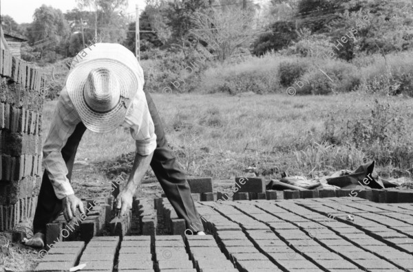 Image of sheet 19930540 photo 15: Der frisch geerntete Altamiz wird in der Finca El Cortijo nach dem wägen gewaschen. Heilkräuter werden abgepackt. Im 'Vivero' werden Pflanzenanbauten getestet. Ziegelsteine werden auf altbewährte Art produziert und gebrannt. Der Mann muss stundenlang mit seinen blossen Füssen die Masse zerstampfen. Ein 'alter' Sandino. Vollmond am Meer. Kinder an den heissen Sulfatquellen bei San Jacinto. 1993 Esteli Nicaragua