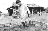 Image of sheet 19930540 photo 18: Ein junger Mann bearbeitet mit seinen blossen Füssen die Masse zur Herstellung von Backsteinen. Esteli Nicaragua 1993 √ feet nacked Backsteine