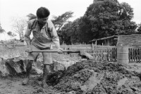 Image of sheet 19930540 photo 24: Ziegelsteine werden auf altbewährte Art produziert und gebrannt 1993 Esteli Nicaragua