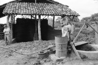 Image of sheet 19930540 photo 25: Der frisch geerntete Altamiz wird in der Finca El Cortijo nach dem wägen gewaschen. Heilkräuter werden abgepackt. Im 'Vivero' werden Pflanzenanbauten getestet. Ziegelsteine werden auf altbewährte Art produziert und gebrannt. Der Mann muss stundenlang mit seinen blossen Füssen die Masse zerstampfen. Ein 'alter' Sandino. Vollmond am Meer. Kinder an den heissen Sulfatquellen bei San Jacinto. 1993 Esteli Nicaragua