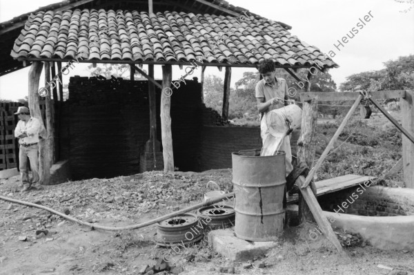 Image of sheet 19930540 photo 25: Der frisch geerntete Altamiz wird in der Finca El Cortijo nach dem wägen gewaschen. Heilkräuter werden abgepackt. Im 'Vivero' werden Pflanzenanbauten getestet. Ziegelsteine werden auf altbewährte Art produziert und gebrannt. Der Mann muss stundenlang mit seinen blossen Füssen die Masse zerstampfen. Ein 'alter' Sandino. Vollmond am Meer. Kinder an den heissen Sulfatquellen bei San Jacinto. 1993 Esteli Nicaragua