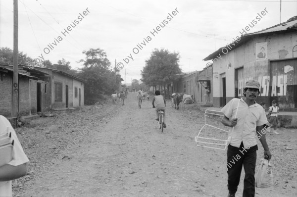 Image of sheet 19930540 photo 28: Der frisch geerntete Altamiz wird in der Finca El Cortijo nach dem wägen gewaschen. Heilkräuter werden abgepackt. Im 'Vivero' werden Pflanzenanbauten getestet. Ziegelsteine werden auf altbewährte Art produziert und gebrannt. Der Mann muss stundenlang mit seinen blossen Füssen die Masse zerstampfen. Ein 'alter' Sandino. Vollmond am Meer. Kinder an den heissen Sulfatquellen bei San Jacinto. 1993 Esteli Nicaragua