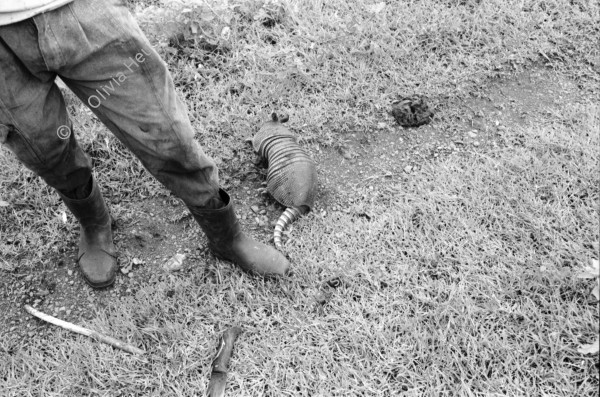 Image of sheet 19930550 photo 22: Geschütztes Gürteltier wurde gefangengenommen. Nicaragua 1993