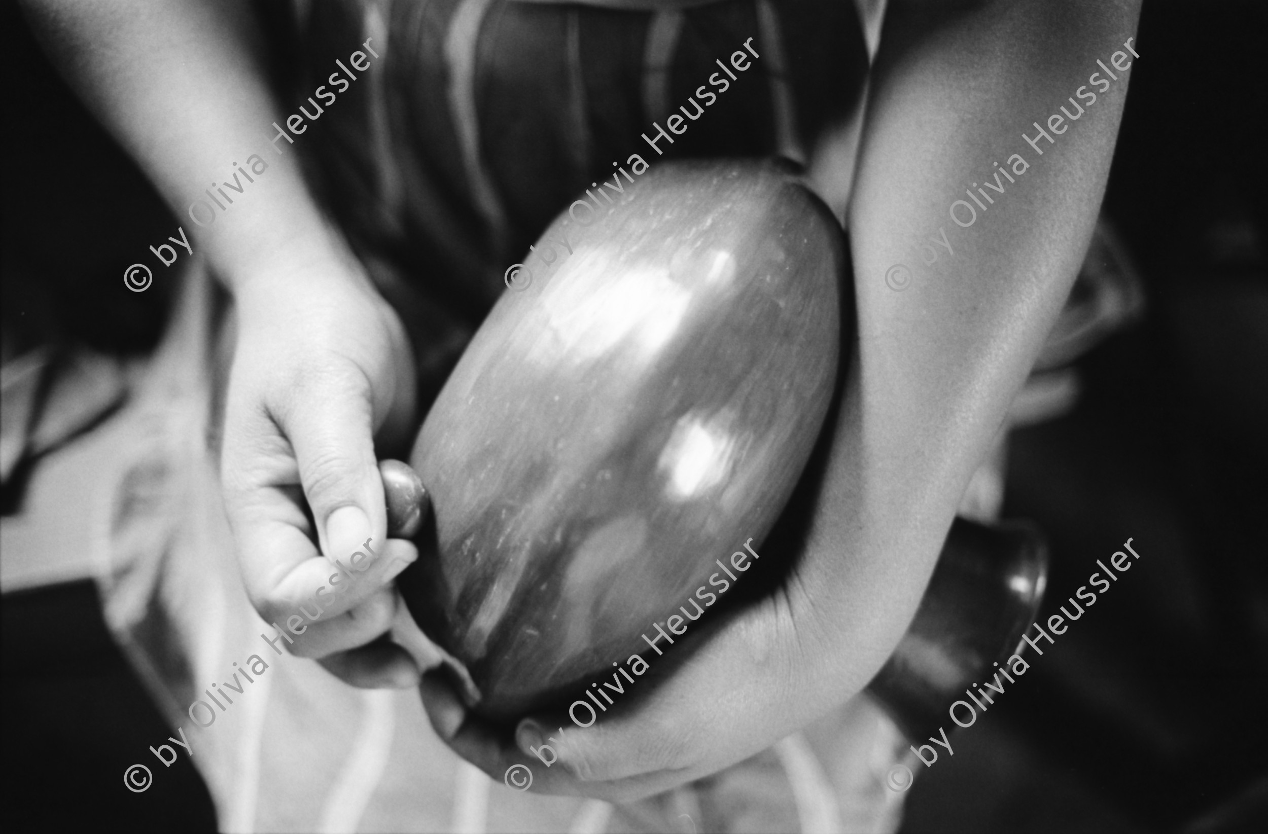 Image of sheet 19930550 photo 27: Taller Comunal de Ceramica.