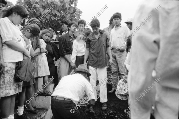 Image of sheet 19930560 photo 12: Beerdigung des von Contra in Chontales getöteten Frente Mitglieds Julio Cesar Izcano Perez, 50. Sobador Don Felix mit einem kleinen Patienten. Er zeigt mir die Pflanzen die er gebraucht. Im Centro arbeiten Frauen an einer Datenbank für Pflanzen. Maria Elsa zeigt mir getrocknete Pflanzen aus dem Herbarium dass sie betreut. In Sebaco wird eine neue Apotheke 'Medicina Popular' eingeweiht. In Begleitung des Bürgermeisters von Lutterbach. Nicaragua Esteli
Brot fuer die Welt