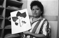 Image of sheet 19930560 photo 27: Beerdigung des von Contra in Chontales getöteten Frente Mitglieds Julio Cesar Izcano Perez, 50. Sobador Don Felix mit einem kleinen Patienten. Er zeigt mir die Pflanzen die er gebraucht. Im Centro arbeiten Frauen an einer Datenbank für Pflanzen. Maria Elsa zeigt mir getrocknete Pflanzen aus dem Herbarium dass sie betreut. In Sebaco wird eine neue Apotheke 'Medicina Popular' eingeweiht. In Begleitung des Bürgermeisters von Lutterbach. Nicaragua Esteli
Brot fuer die Welt