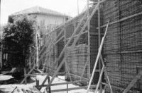Image of sheet 19930580 photo 11: Am Vulkan Masaya. Das Haus der drei  Kulturen Casa de los tres mundos in Granada in Bau. Der Anbau wird auf traditionelle Art bearbeitet. Schöne Holzarbeiten. Eine Ziege. Palmen im Hof vom Konvent San Francisco, wo die alten Antropromorphen Figuren stehen. Das Haus von aussen. Die alte Ceiba von Granada.Im Spital Carlos Marx mit Schwester Marlene. Sie unterrichtet med. hilfskräfte in Heilmedizin. Nicaragua 1993