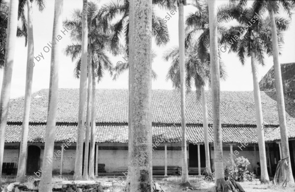 Image of sheet 19930580 photo 24: Am Vulkan Masaya. Das Haus der drei  Kulturen Casa de los tres mundos in Granada in Bau. Der Anbau wird auf traditionelle Art bearbeitet. Schöne Holzarbeiten. Eine Ziege. Palmen im Hof vom Konvent San Francisco, wo die alten Antropromorphen Figuren stehen. Das Haus von aussen. Die alte Ceiba von Granada.Im Spital Carlos Marx mit Schwester Marlene. Sie unterrichtet med. hilfskräfte in Heilmedizin. Nicaragua 1993