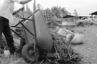 Image of sheet 19930610 photo 2: In der Finca 'El Cortijo'werden Promotores ausgebildet. Pflanzen werden gepflückt, angeschrieben und zwischen Zeitungen gepresst. (Barricada). Portrait Pedro Linger.In der Barranca, einem Schulungszentrum in der Nähe von Esteli, ist der theoretische Kurs. Dort werden aber auch Seifen hergestellt. Einige katholische Nonnen sind dabei. Nicaragua 1993