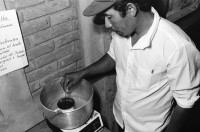 Image of sheet 19930610 photo 31: In der Finca 'El Cortijo'werden Promotores ausgebildet. Pflanzen werden gepflückt, angeschrieben und zwischen Zeitungen gepresst. (Barricada). Portrait Pedro Linger.In der Barranca, einem Schulungszentrum in der Nähe von Esteli, ist der theoretische Kurs. Dort werden aber auch Seifen hergestellt. Einige katholische Nonnen sind dabei. Nicaragua 1993