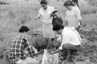 Image of sheet 19930610 photo 4: In der Finca 'El Cortijo'werden Promotores ausgebildet. Pflanzen werden gepflückt, angeschrieben und zwischen Zeitungen gepresst. (Barricada). Portrait Pedro Linger.In der Barranca, einem Schulungszentrum in der Nähe von Esteli, ist der theoretische Kurs. Dort werden aber auch Seifen hergestellt. Einige katholische Nonnen sind dabei. Nicaragua 1993