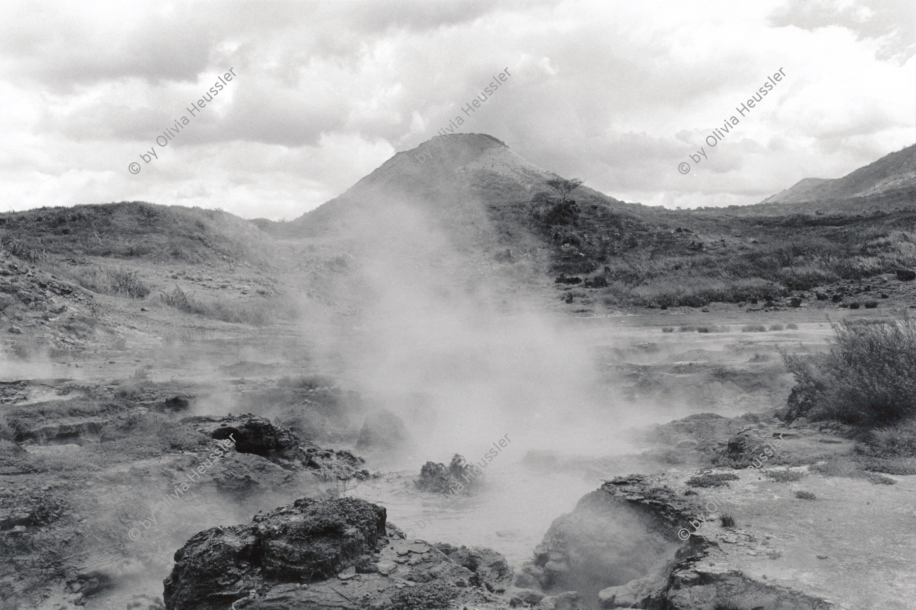 Image of sheet 19930620 photo 1: Die Sulfatquellen beim Vulkan Telica in San Jacinto. Nicaragua 1993 √
sulfur volcan

© 1993, Olivia Heussler √