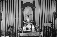 Image of sheet 19930620 photo 4: Die Sulfatquellen beim Vulkan Telica in San Jacinto. Der Altar vom Christo Negro de Esquipulas in der Kirche von El Sauce. Der grosse war eine Schenkung von einer Frau aus Esteli in der Zeit der Cholera. Der Milagros vom Bild vom Christo Negro kommt aus E. in Guatemala. In der Kolonisation brauchten die Schwarzen auch einen Heiligen. Früher trug el Sauce, den Namen vom Guaiabal Baum. Eine Frau schlägt einem Baum bis auf das Skelett die Aeste ab. Der Baum steht vor ihrem Haus und wäre ihr ein schöner Schatten spender. Soya feld der Promotoren in Sebaco. Im vordergrund Ajo Knoblauch Marango Eneldo und Albahaca. Llanten Familie mit vier Kindern. Portrait von Dona Dominga, einer Heilerin vor ihrem Altar bei San Isidro. La Ruda, die Weinraute. Projekt der FISE, dem AID. Ochsen ziehen einen Pflug. Nicaragua 1993