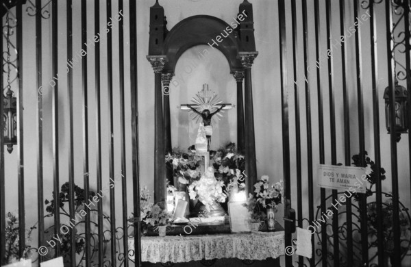 Image of sheet 19930620 photo 4: Die Sulfatquellen beim Vulkan Telica in San Jacinto. Der Altar vom Christo Negro de Esquipulas in der Kirche von El Sauce. Der grosse war eine Schenkung von einer Frau aus Esteli in der Zeit der Cholera. Der Milagros vom Bild vom Christo Negro kommt aus E. in Guatemala. In der Kolonisation brauchten die Schwarzen auch einen Heiligen. Früher trug el Sauce, den Namen vom Guaiabal Baum. Eine Frau schlägt einem Baum bis auf das Skelett die Aeste ab. Der Baum steht vor ihrem Haus und wäre ihr ein schöner Schatten spender. Soya feld der Promotoren in Sebaco. Im vordergrund Ajo Knoblauch Marango Eneldo und Albahaca. Llanten Familie mit vier Kindern. Portrait von Dona Dominga, einer Heilerin vor ihrem Altar bei San Isidro. La Ruda, die Weinraute. Projekt der FISE, dem AID. Ochsen ziehen einen Pflug. Nicaragua 1993