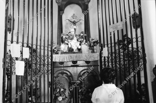 Image of sheet 19930620 photo 7: Die Sulfatquellen beim Vulkan Telica in San Jacinto. Der Altar vom Christo Negro de Esquipulas in der Kirche von El Sauce. Der grosse war eine Schenkung von einer Frau aus Esteli in der Zeit der Cholera. Der Milagros vom Bild vom Christo Negro kommt aus E. in Guatemala. In der Kolonisation brauchten die Schwarzen auch einen Heiligen. Früher trug el Sauce, den Namen vom Guaiabal Baum. Eine Frau schlägt einem Baum bis auf das Skelett die Aeste ab. Der Baum steht vor ihrem Haus und wäre ihr ein schöner Schatten spender. Soya feld der Promotoren in Sebaco. Im vordergrund Ajo Knoblauch Marango Eneldo und Albahaca. Llanten Familie mit vier Kindern. Portrait von Dona Dominga, einer Heilerin vor ihrem Altar bei San Isidro. La Ruda, die Weinraute. Projekt der FISE, dem AID. Ochsen ziehen einen Pflug. Nicaragua 1993