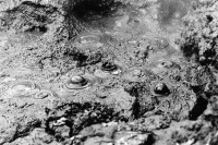 Image of sheet 19930621 photo 14: frtsg. 930621 Vulkan Quellen Nicaragua Central america volcanic sulfur source volcan
√ ONE TIME NON EXCLUSIVE EDITORIAL RIGHTS ONLY- NO ARCHIVING-NO THIRD PARTY DISTRIBUTION

© 1993, by OLIVIA HEUSSLER / www.clic.li