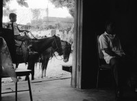 Image of sheet 19930630 photo 4: Vor der Apotheke Sta. Martha von Juan Ramon Zavala in Condega. Interieur. Er verkauft Organische und Chemische Heilmedizin. Portrait von Juan Alberto Benavidez, Heiler in Pueblo Nuevo. In seinem Garten. Sohn : Cervando José Benavidez Espinoza Pension Laura 1 c. al norte Pueblo Nuevo- Esteli Nicaragua 1993
