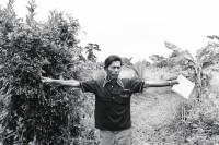 Image of sheet 19930660 photo 11: Der Heiler Don Guillermo Guerrero meditiert über seinen Kräutergarten. Die meisten Pflanzen sind durch die Hochwasser zerstört worden. Cosigüina Chinandega Nicaragua 1993 √

traditional health care medicine natural ISNAYA Naturheilmedizin healing sobador