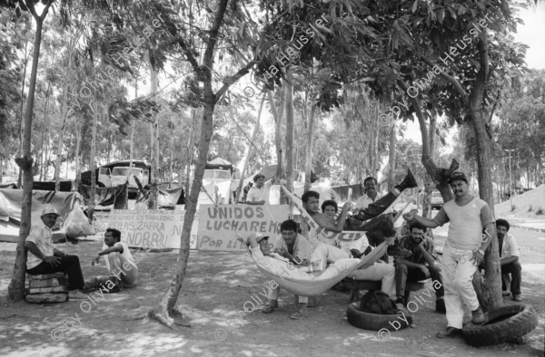 Image of sheet 19930670 photo 15: Im Spital Carlos Marx mit Schwester Marlene. Sie bildet medizinisches Hilfspersonal in Naturheilmedizin aus. Das Projekt betreute bis vor kurzem auch einen Garten im Spital. Im Klassenzimmer. Managua: Streik von Zuckerarbeitern vor dem Parlament. Regierung: Omar Cabezas diskutiert mit Dora Maria Tellez in der Nationalversammlung. Mit Thema Amnestie für die Kämpfer des FROC - Esteli. Ambulanter Heilkräuterverkäufer im Mercado Oriental. Verkaufsstand Heilpflanzen im Mercado Oriental. Managua Nicaragua 1993

Dora María Téllez Arguello comandante guerrillera, historiadora y política nicaragüense nacida en la ciudad de Matagalpa, el 21 de noviembre de 1955.