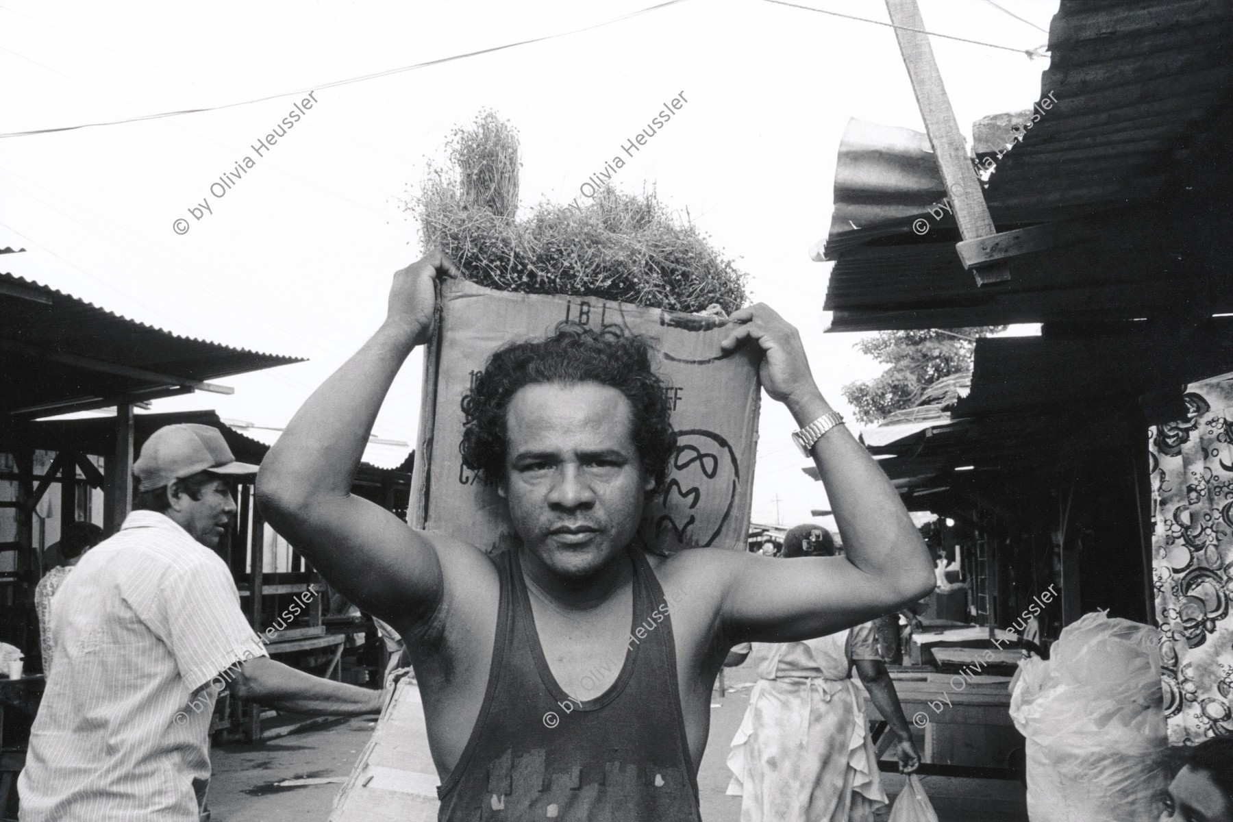 Image of sheet 19930670 photo 28: Ein Mann verkauft Kamille. Managua Nicaragua 1993 √ camomilla market man selling
chamomile
traditional health care medicine natural ISNAYA Naturheilmedizin healing healer sobador plants plantas popular